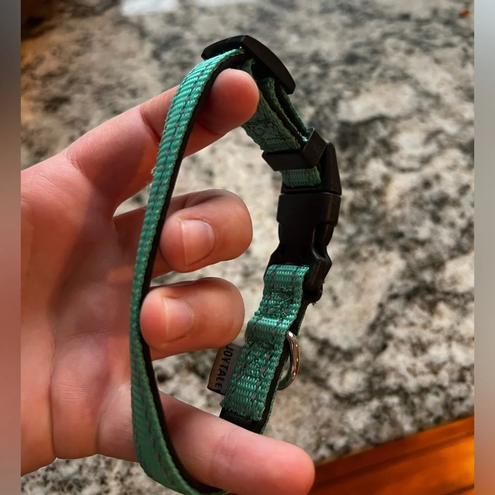 Dog Collar Size Small - Picture 4 of 4